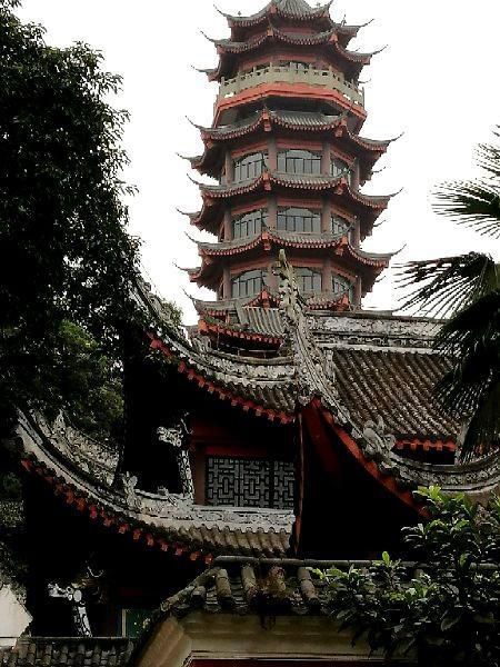 塔影入云深，禅心伴古木