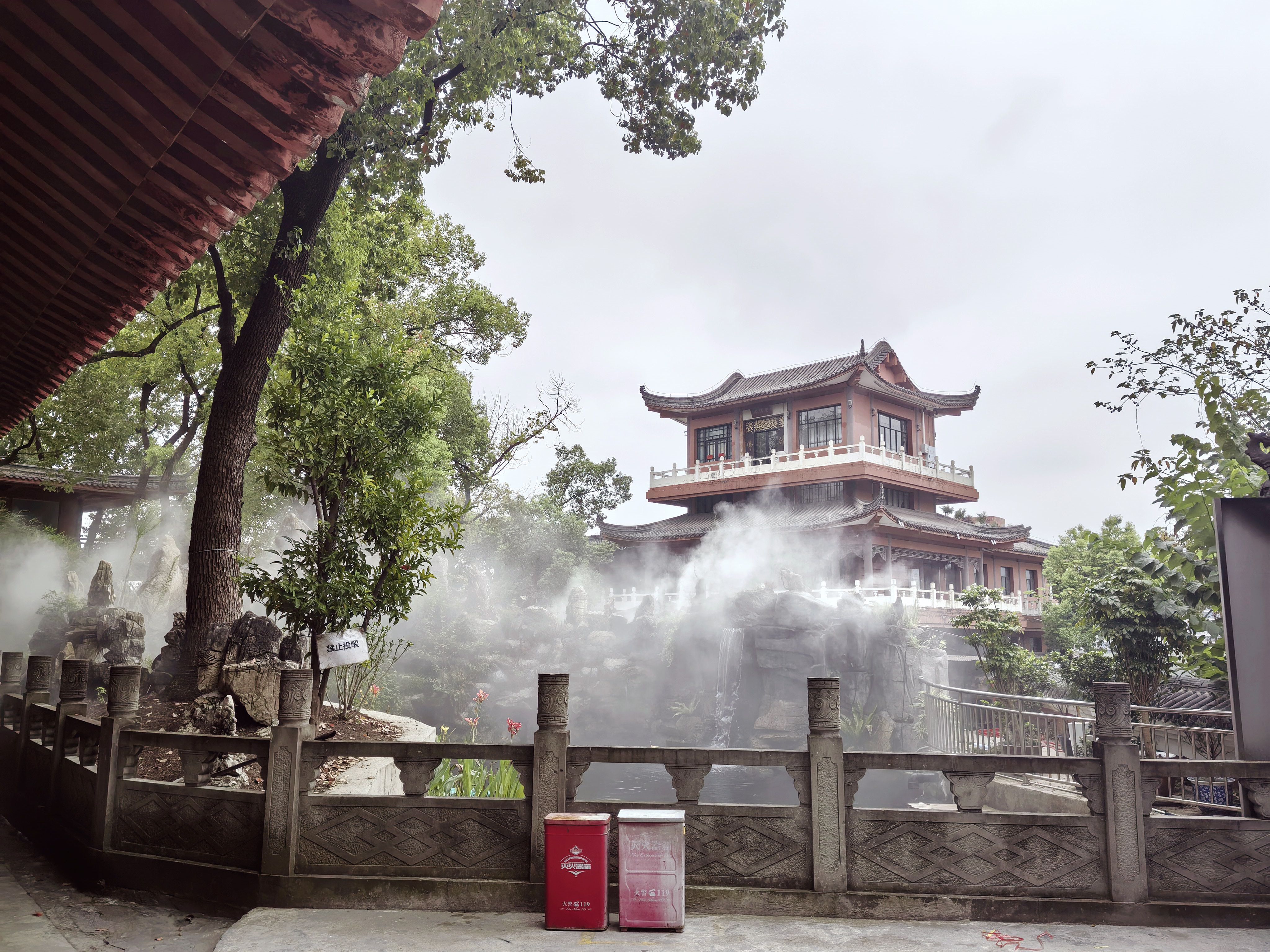 一园白雾，半院景观